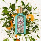 Gucci Bloom Profumo di Fiori EDP 50ml